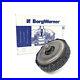 BorgWarner_202153_Kit_D_Embrayage_Pour_DSG_DQ250_VW_Audi_Seat_Skoda_01_jw